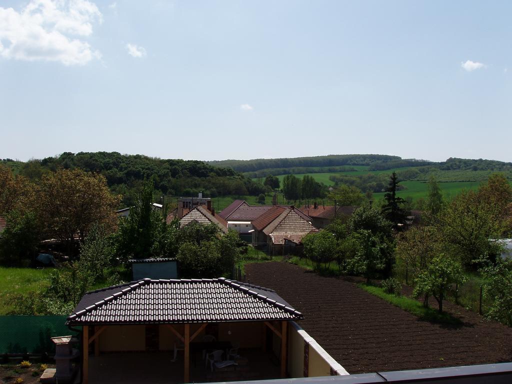Villa Vilka Relax à Podhájska Extérieur photo